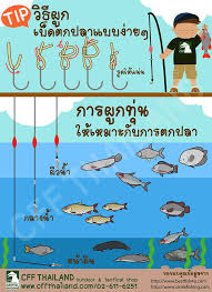 สอนการผูกเงื่อนที่ใช้สำหรับตกปลา ในแบบต่างๆ